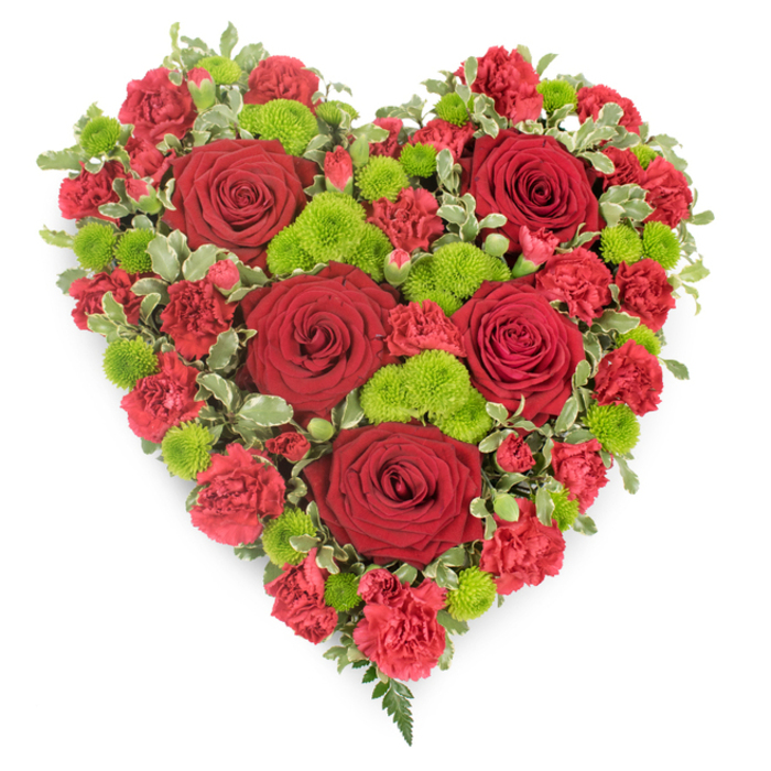 A striking heart-shaped funeral tribute, composed entirely of red and green flowers, is presented on a plain white background that gives it a serene, almost gallery-like quality. The heart is full and symmetrical, carefully formed so that the shape is clear and rounded at the top, tapering neatly to a point at the bottom. Deep red roses, each with layered, velvety petals that spiral towards a tight centre, are spaced evenly across the design and act as emotional focal points. Their luxurious, romantic presence suggests devotion, long-lasting love, and deep respect. Between and around these roses lie numerous red mini carnations, their softly ruffled petals forming a dense bed that fills every gap. The texture they create resembles a plush velvet cushion, making the heart feel generous and complete. Dotted throughout this sea of red are small clusters of lime-green button chrysanthemums, their compact, spherical blooms introducing a fresh, contemporary twist. The vivid green offers a symbolic sense of hope, life, and renewal amidst remembrance. The outer edges of the heart are gently softened and defined by variegated foliage, with leaves showing a mix of dark green centres and creamy white margins that echo the brightness of the background. Here and there, a slender fern frond extends delicately beyond the flowers, adding movement and a hint of wild, natural grace. This arrangement would feel perfectly suited to a service for a beloved relative or friend from Yiewsley, perhaps chosen by a family gathering after a quiet stroll through local green spaces, expressing heartfelt sympathy and lasting affection in a single, memorable floral gesture.