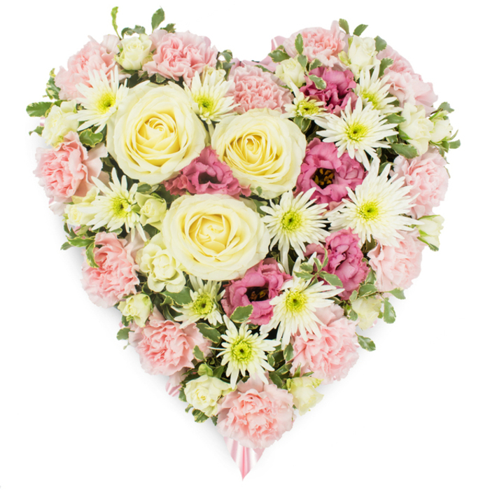 This image shows a lush, heart-shaped sympathy arrangement, photographed against a spotless white background so that every petal and colour reads clearly. The heart is completely filled with flowers, creating a dense, luxurious surface with no visible gaps, as if the blooms are gently pressed together in a shared embrace. At the centre, several large, elegant roses in shades of cream and pale yellow serve as luminous focal points, their spiralling petals opening outward in soft, layered whorls that suggest tenderness and grace. Radiating from and around these roses is a generous blanket of light pastel pink carnations, their frilled and ruffled petals forming the main structure and outline of the heart. These carnations give the design a comforting, cushioned appearance, like a cloud of soft fabric. Interlaced among them are white spider chrysanthemums, instantly recognisable by their fine, elongated petals that stretch outward from lime-tinged green centres, adding lively texture and crisp white contrast. Deeper tones appear in pockets of magenta-pink lisianthus, whose gently cupped, bell-shaped flowers tuck into the design like small, intimate notes of deeper emotion. Discreet glimpses of variegated and plain green foliage break up the mass of petals, highlighting the freshness of the blooms and subtly defining the heart's gentle curve. At the very tip of the heart, a narrow pink ribbon peeks just into view, hinting at a handwritten card or banner that might bear a loved one's name. The arrangement has a calm, respectful presence, perfectly suited to a farewell gathering in Yiewsley, whether placed beside a photo at a memorial in a community hall or carried into a quiet service near Stockley Park as a final tribute of enduring love.