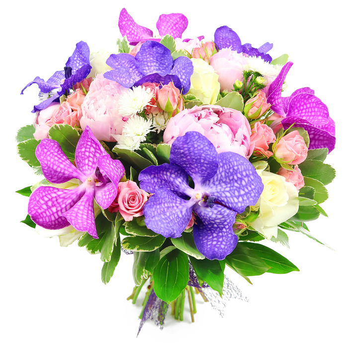 A rich, opulent bouquet is shown against a luminous white background, every petal clearly defined as if the flowers have just been hand-tied in a Yiewsley workshop moments before delivery. At the centre, large pink peonies are fully open, revealing layer upon layer of soft, ruffled petals that create a sense of fullness and tactile indulgence, like silk cushions gathered together. Interwoven among them are striking Vanda orchids, some in a deep indigo-purple, others in bold fuchsia magenta, each with distinct speckled and veined patterns across their broad, waxy petals. These orchids add a dramatic, contemporary edge to the otherwise romantic bouquet. Around this central pairing, clusters of light pink spray roses and peachy-pink rosebuds offer a gentler, youthful touch, while a few creamy white or pale yellow roses bring quiet elegance and balance. Fine white filler blooms, likely tiny chrysanthemums or asters, peek through the arrangement, giving the impression of delicate stars scattered among larger constellations of colour. The whole design is grounded by an abundance of fresh greenery, including broad, glossy leaves and smaller, variegated foliage that layer over one another to build depth and a natural, garden-inspired feel. The stems, neatly aligned and gathered at the base, are bound with a subtle purple ribbon, suggesting a bouquet ready to be carried down a Yiewsley side street to a celebration or delivered to a home near the Grand Union Canal. The harmonious blend of purples, pinks, peaches, whites, and rich greens creates an atmosphere of joy, romance, and refined taste, perfect for weddings, anniversaries, or marking a major life milestone with flowers that feel both luxurious and personal.
