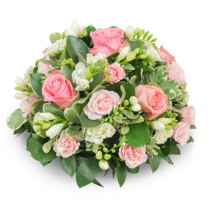 A meticulously arranged, domed floral tribute presented on a pure white background, this piece blends blush pink roses and pristine white freesia into a richly textured, compact form that feels both refined and tender. Classic pink roses, ranging from broad, fully opened roses with soft, rippling petals to petite spray roses in paler tones, give the arrangement a layered, romantic quality; their petals appear satiny and freshly cut. Complementing these, clusters of white freesia rise with elegant, bell-shaped blossoms - several fully open to show pale yellow stamens while others remain as promising buds - bringing vertical rhythm and a hint of delicate scent. The supporting foliage is varied and thoughtfully placed: deep green glossy leaves (reminiscent of ruscus or salal) create a dense, verdant base while variegated leaves edged in cream add light and visual interest that keeps the overall palette airy. The bouquet's dome conceals any stems or mechanics, presenting a seamless cushion of blooms that casts a soft shadow on the surface beneath, amplified by natural daylight that brings out petal layers and leaf veins. Intended as a comforting sympathy piece, memorial tribute, or an elegant gift, this arrangement carries an understated dignity suited to services or home visits in and around Yiewsley and neighbouring West Drayton. Prepared with the care expected from a local artisan florist, Flowers Yiewsley would offer this composition to families seeking a composed, compassionate floral expression delivered with sensitivity to location and timing.