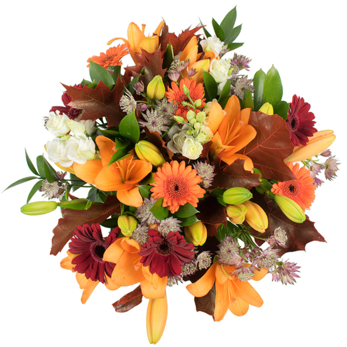 Captured from a slightly elevated angle on a clean white field, this autumn bouquet reads as a warmly hued tapestry of texture and form, anchored by bold orange Asiatic lilies whose wide petals open like small suns. Around those lilies, bright pumpkin and deep burgundy Gerbera daisies punctuate the round form with cheerful, defined centers and smooth, radiating petals. Creamy white Lisianthus, with their soft, ruffled layers, provide gentle visual relief; their pale tones act like small clouds among the richer colors. Sprays of pale purple Astrantia introduce intricate, star-like clusters that give the arrangement an airy, almost lacy quality amid the denser blooms. Interwoven throughout are substantial, lobed leaves in reddish-brown-resembling classic autumn oak leaves-placed to suggest fallen foliage gathered into the bouquet; smaller green leaves and slender stems bring freshness and structure to the composition. Tight, green-tinged lily buds announce future opening, adding depth and a sense of unfolding life. The lighting is bright and even, sharpening the contrast between saturated oranges, deep reds, muted purples, and clean whites so the bouquet's fullness and craftsmanship are immediately legible. This design feels purposeful and abundant-a seasonal statement piece well suited to Thanksgiving displays, harvest-themed tables on Yiewsley High Street, or as a heartfelt gift for someone who loves the tactile and woodsy comforts of autumn.