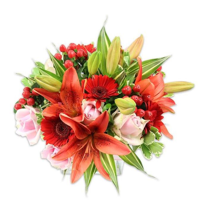 A richly hued, densely packed floral composition set against stark white, this bouquet is a confident celebration of warm colour and considered texture. At the heart sit several large Asiatic lilies in a glowing orange-red, their recurving petals tipped with subtle speckling and prominent stamens that create a living focal sculpture; a few unopened buds promise evolving beauty in the days ahead. Scattered around them are deep crimson Gerbera daisies whose fine, radially arranged petals and dark centres add crisp, joyful punctuation. Soft blush roses - from tightly furled to gently opening - thread through the arrangement and soften the fiery palette with their velvety, romantic curves. Bright clusters of red hypericum berries are tucked into folds of greenery, gleaming with a waxy sheen and adding small, festive accents that catch the eye. The foliage is abundant and varied: broad, solid green leaves ground the display, slender lily leaves add upright movement, and a selection of variegated leaves with pale green and white streaks introduces lightness and depth. The overall silhouette is full and rounded, a sign of careful hand-tying and balance. Texturally the bouquet invites the imagination - the cool smoothness of rose petals, the slightly papery weight of lily blooms, the firm, glossy berries and the crisp snap of fresh foliage - while a hint of sweet, spicy lily fragrance suggests freshness. As a local florist arranging for customers around Colham Green and the canal walkways of Yiewsley, Flowers Yiewsley often crafts this style for anniversaries, heartfelt congratulations, or to lift a home's mood with its warm, exuberant presence.