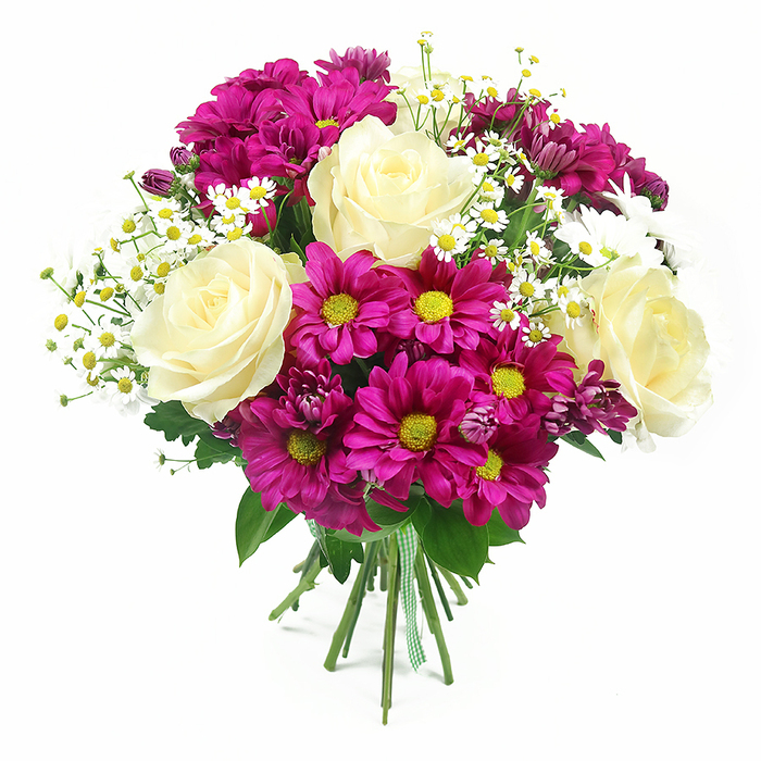 A carefully crafted hand-tied bouquet is captured against a bright, uncluttered white background, highlighting the vivid contrast of creamy, magenta, and fresh green tones often seen in Yiewsley's favourite gift arrangements. At the heart of the design sit several large roses in soft creamy white, their petals touched with a suggestion of pale yellow, each bloom fully open and spiralling gracefully inward to create a luxurious focal point. Encircling the roses are plentiful fuchsia and magenta chrysanthemums, their layered petals forming rounded, daisy-like heads with luminous yellow-green centres that introduce a playful sparkle of colour. Threaded through this rich tapestry of blooms are light sprays of small white daisies, reminiscent of chamomile or feverfew, with fine, delicate petals and tiny golden centres that lend the bouquet an airy, countryside charm, as if gathered from a quiet garden off Yiewsley High Street. Tucked here and there, darker purple-pink chrysanthemum buds add gentle variation in tone and a sense of movement, suggesting ongoing growth and unfolding beauty. The flowers are cradled by a backdrop of lush greenery, including classic rose foliage and fuller chrysanthemum leaves, which deepen the overall colour palette and provide a natural frame to the rounded shape. At the base, the stems are neatly aligned and tightly bound with a green and white gingham ribbon, adding a homely, handcrafted detail that make the bouquet feel ready to carry to a celebration or to present as a heartfelt thank-you. Soft, even lighting bathes the composition, emphasizing the textures of each petal and leaf without harsh shadows. The overall mood is joyful and uplifting, perfect for birthdays, congratulations, or simply brightening a living room or office anywhere across Yiewsley and nearby West Drayton.