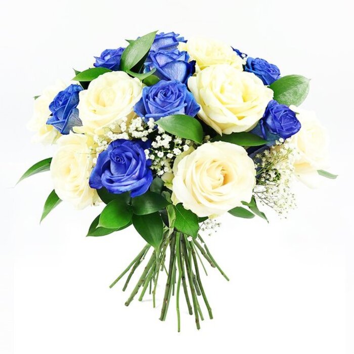 A carefully crafted bouquet of roses is showcased against a bright white background, its rounded silhouette and cool-toned palette giving an impression of composed elegance and gentle solace. The hand-tied arrangement gathers approximately a dozen deep sapphire-blue roses with an equal number of creamy, off-white roses, all clustered into a dense, hemispherical shape that appears full yet balanced. The blue roses are intense and velvety, with layered petals that twist inward to form tight spirals, some blooms more open than others, creating a natural rhythm through the bouquet. Interspersed among them, the cream roses appear soft and luminous, their petals unfolding in wide, cup-like shapes that contrast beautifully with the darker blue tones. Between the main blossoms, fine sprays of baby's breath introduce a cloud-like lightness, each tiny white flower dotting the arrangement with a delicate, almost ethereal texture. Deep green foliage-likely Ruscus or a similar leaf-fans out subtly around the base and between the roses, lending a structured frame and a sense of freshness, as though the bouquet had just been prepared for delivery to a quiet home near Yiewsley Recreation Ground. The stems are visible at the bottom, long, straight, and neatly bound together, suggesting a freshly cut, ready-to-place design. Soft, even lighting casts minimal shadow, emphasising the clean colour contrast and the intricate detail of every petal and leaf, while the plain white background ensures there are no distractions from the flowers themselves. This arrangement feels particularly suited to sombre or reflective occasions-sympathy, remembrance, or a thoughtful visit to a family in Yiewsley-offering a calm, refined expression of respect, loyalty, and enduring care.