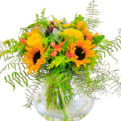 Radiating exuberance and seasonal warmth, this lavish bouquet is carefully composed by Flowers Yiewsley with local artistry and care. At its core, grand sunflowers unfurl wide petals of vibrant yellow-orange, their signature dark brown centres grounding the entire composition with intensity and depth. Intertwined are generous yellow garden roses, their petals tightly layered in harmonious swirls, offering a refined, timeless counterpoint to the sunflowers' sunny informality. Deep green foliage and airy, light green vines spill outwards, recalling the lushness of Yiewsley's green spaces and tranquil pockets like the nearby Little Britain Lake. Scattered among the greens are lively clusters of ruby-red hypericum berries-lustrous and round, they spark visual interest and contrast against the softer petal textures. The bouquet is further enriched by wisps of feathery ferns and tuck-ins of delicate bluish eucalyptus, whose cool, aromatic presence adds subtle dimension and freshness. Interspersed goldenrod or solidago, with tiny yellow blossoms, lend additional brightness, helping the bouquet feel full of movement and life. The clear, rounded glass vase is reminiscent of a fishbowl, its elegant form revealing the neat, submerged stems and allowing the water to glimmer beneath the blooms. Illuminated by gentle daylight, every detail becomes radiant, creating an ambience of hopeful celebration. Whether as a gift for milestone birthdays, an anniversary surprise, or a thoughtful gesture delivered locally, this arrangement encapsulates the vibrancy and sense of joy unique to Yiewsley.