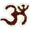 A serene, hand-sculpted Om (Aum) symbol fashioned entirely from densely packed, small-headed chrysanthemums rests against a pure white background, its form rendered with quiet precision. The main body-every curve of the familiar '3'-like shape, the sweeping downward stroke and the crescent with its raised bindu-is built from deep maroon to burgundy pompon chrysanthemums whose velvety petals gather into a sumptuous mass. Tiny lime-green centers peek from many of the red blooms, giving the dark field subtle specks of life and a natural, textured richness. Encircling and tracing the interior negative spaces is a thick, undulating rim of pristine white spray chrysanthemums; this white border reads like a luminous halo, clarifying each loop and amplifying the sacred silhouette. A soft drop shadow beneath the arrangement and the cool, even studio light emphasize its sculptural depth, so the piece reads as both floral tapestry and three-dimensional tribute. If you imagine reaching out, the packed petals would feel cool and silky, the scent faintly earthy with a hint of green-comforting rather than heady. As a local florist familiar with Yiewsley's quieter corners near the canal and High Street, I picture this piece in a meditation alcove, on a memorial table, or as the centre of a quietly reverent festival setting. The composition balances devotion and craftsmanship: every bloom placed to honour the symbol's rhythm, to invite calm and evoke the universal vibration Om represents. Suitable for contemplative gatherings or ceremonial tributes delivered across Yiewsley and nearby Hillingdon venues, this arrangement reads as a tactile paean to peace and presence.