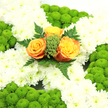 A serene Irish-themed funeral cross is captured in this image, its careful floristry reflecting the quiet character of Yiewsley's local churches and chapels. The main structure of the cross is composed of tightly clustered white chrysanthemums, each blossom rounded and full, creating a soft, almost cushioned surface that reads as pure and peaceful. Tracing the outer line of the cross is a continuous edging of lime-green button chrysanthemums, their tiny, bead-like blooms packed closely together so they resemble a border of fresh moss or new grass after a spring rain. At the cross's centre, three roses in glowing shades of deep tangerine and golden amber form a radiant focal point. Their petals have a velvety texture and are just open enough to reveal their spiralled hearts, suggesting warmth and tenderness. Nestled around these roses are sprigs of bright green filler and graceful fern leaves that extend slightly beyond the central cluster, giving the impression of gentle, organic movement within the otherwise symmetrical form. The lighting is even and natural, picking out each petal and leaf without casting dramatic shadows, which enhances the feeling of calm. This arrangement seems destined for a respectful farewell, perhaps accompanying a funeral procession from a Yiewsley home to a nearby church or crematorium. It combines the symbolism of the cross with the colours of the Irish flag, making it a meaningful tribute for someone with Irish heritage, and offering a comforting visual message of peace, remembrance, and enduring love.